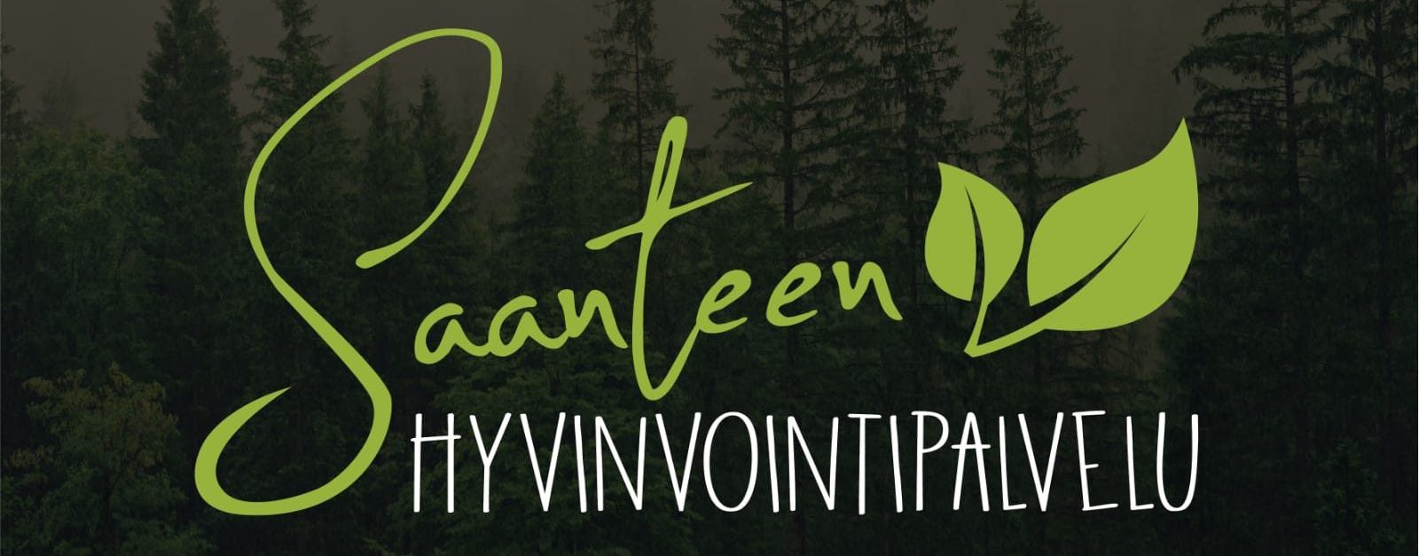 Saanteen Hyvinvointipalvelu